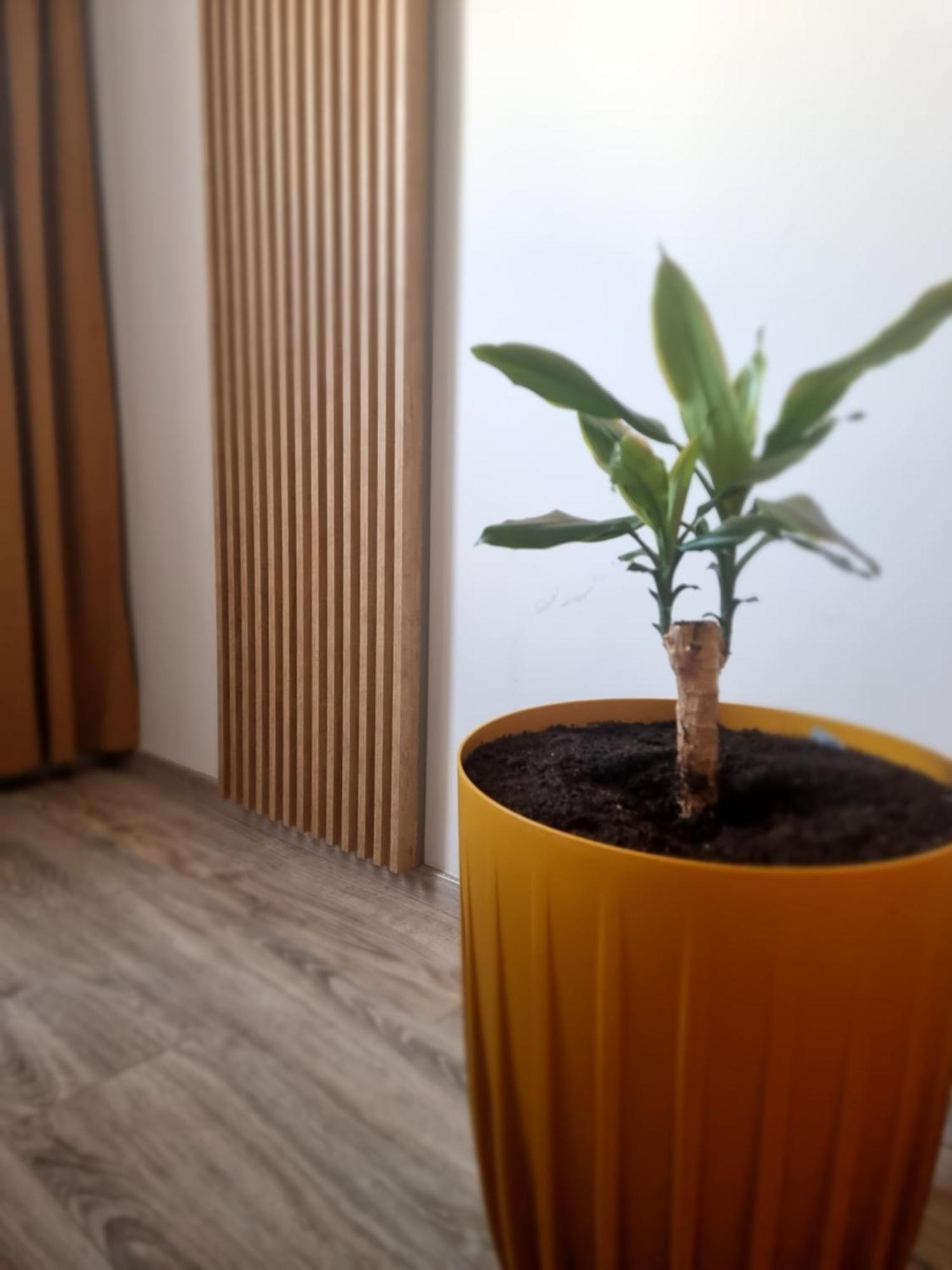 Apartament Lux Lemon Jelenia Gora Bagian luar foto